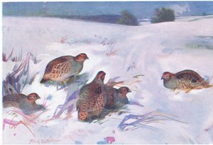 Wanneer de winter hard inzet